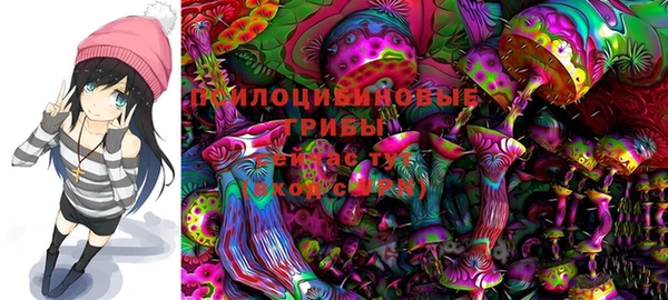 PSILOCYBIN Абинск