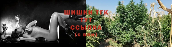 PSILOCYBIN Абинск