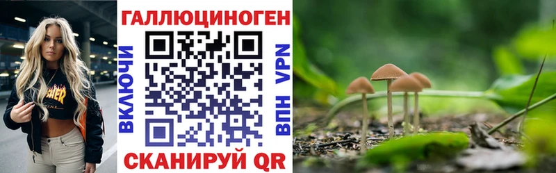 Псилоцибиновые грибы Cubensis  Инза 